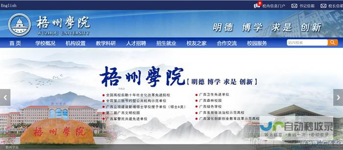 梧州专业网站设计服务：从创意策划到技术实现，助您在网络时代脱颖而出